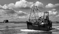 在线轰炸机免费版