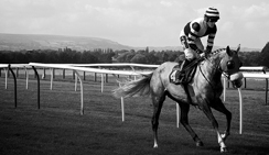 打电话打爆免费